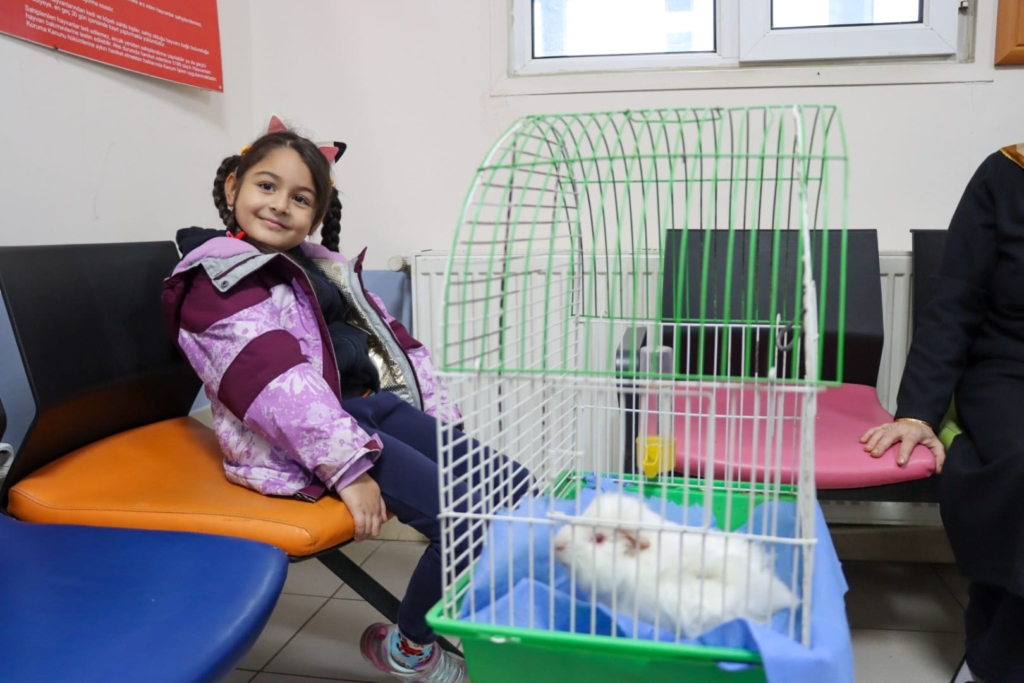 GİNEPİG KISA SÜREDE SAHİPLENDİRİLDİ