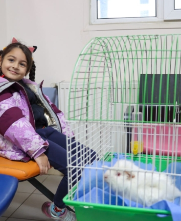 GİNEPİG KISA SÜREDE SAHİPLENDİRİLDİ