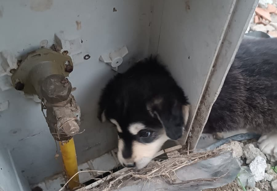 ÇİFTLİKKÖY İTFAİYECİLERİ İŞ BAŞINDA 1 ÇİFTLİKKÖY İTFAİYECİLERİ İŞ BAŞINDA