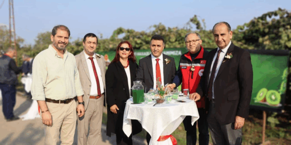 Yalova’da Kivi Hasadı Başladı: Bereketli Topraklarda Altın Gibi Parlayan Ürünler Dalından Sofralara Ulaşıyor