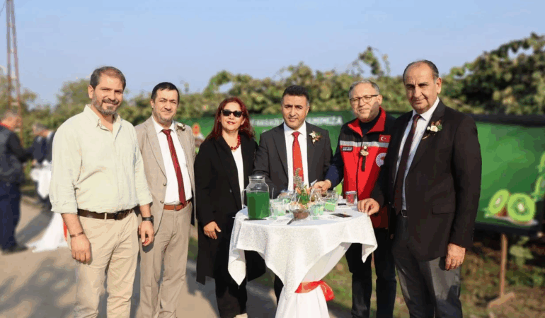 Yalova’da Kivi Hasadı Başladı: Bereketli Topraklarda Altın Gibi Parlayan Ürünler Dalından Sofralara Ulaşıyor