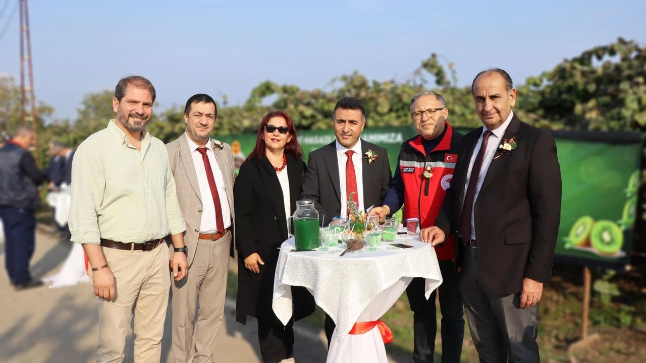 Yalova’da Kivi Hasadı Başladı: Bereketli Topraklarda Altın Gibi Parlayan Ürünler Dalından Sofralara Ulaşıyor