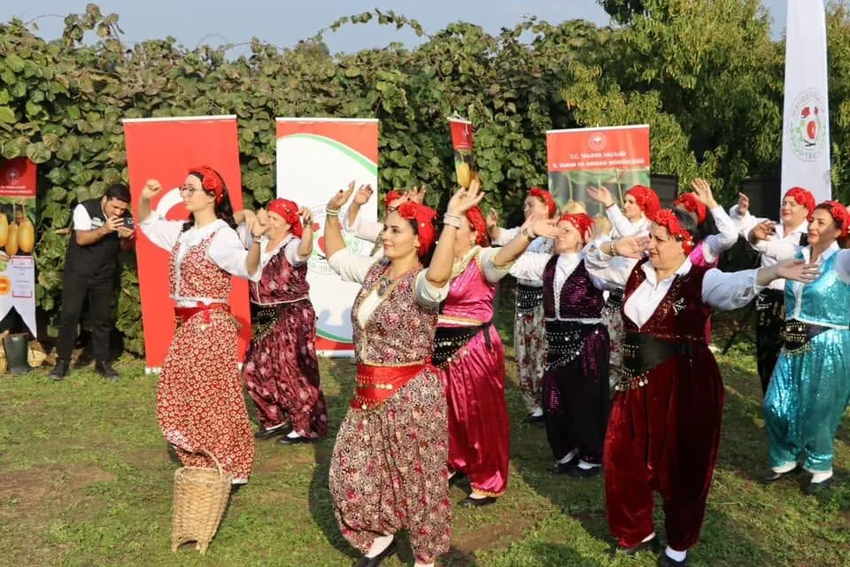 Yalova’da Kivi Hasadı Başladı: Bereketli Topraklarda Altın Gibi Parlayan Ürünler Dalından Sofralara Ulaşıyor