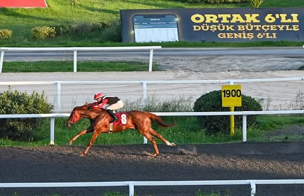 Yürüyen Köşk Koşusu’nda Yalova Gururu: Mesut Tutuğ’dan Anlamlı Katılım ve Tebrik Mesajı 9 Yürüyen Köşk Koşusu’nda Yalova Gururu: Mesut Tutuğ’dan Anlamlı Katılım ve Tebrik Mesajı