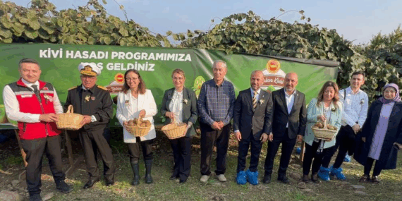 Yalova’da Coğrafi İşaretli Kivi Hasadı Coşkuyla Başladı
