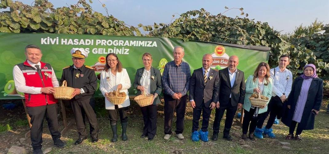 Yalova’da Coğrafi İşaretli Kivi Hasadı Coşkuyla Başladı