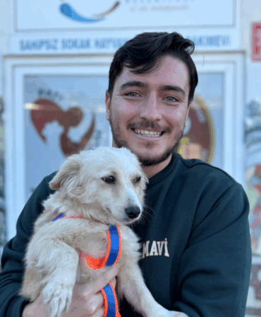 ÇİFTLİKKÖY BELEDİYESİ CAN DOSTLARA DESTEĞİNİ SÜRDÜRÜYOR