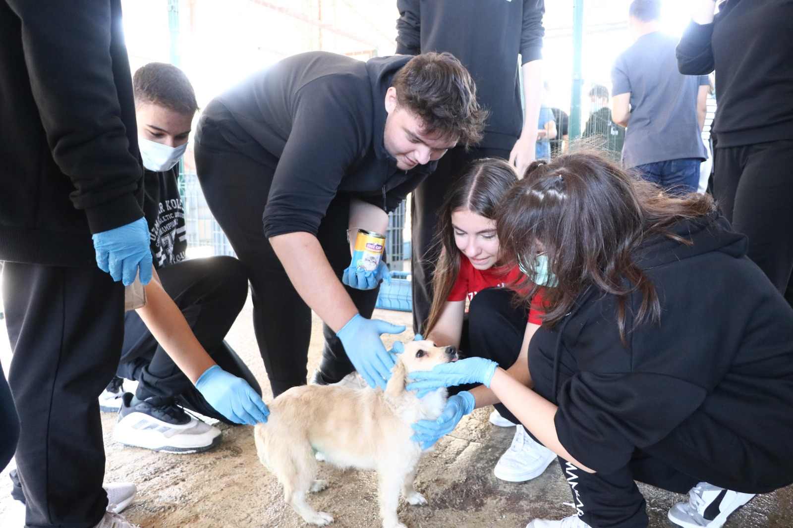 ÇİFTLİKKÖY BELEDİYESİ CAN DOSTLARA DESTEĞİNİ SÜRDÜRÜYOR