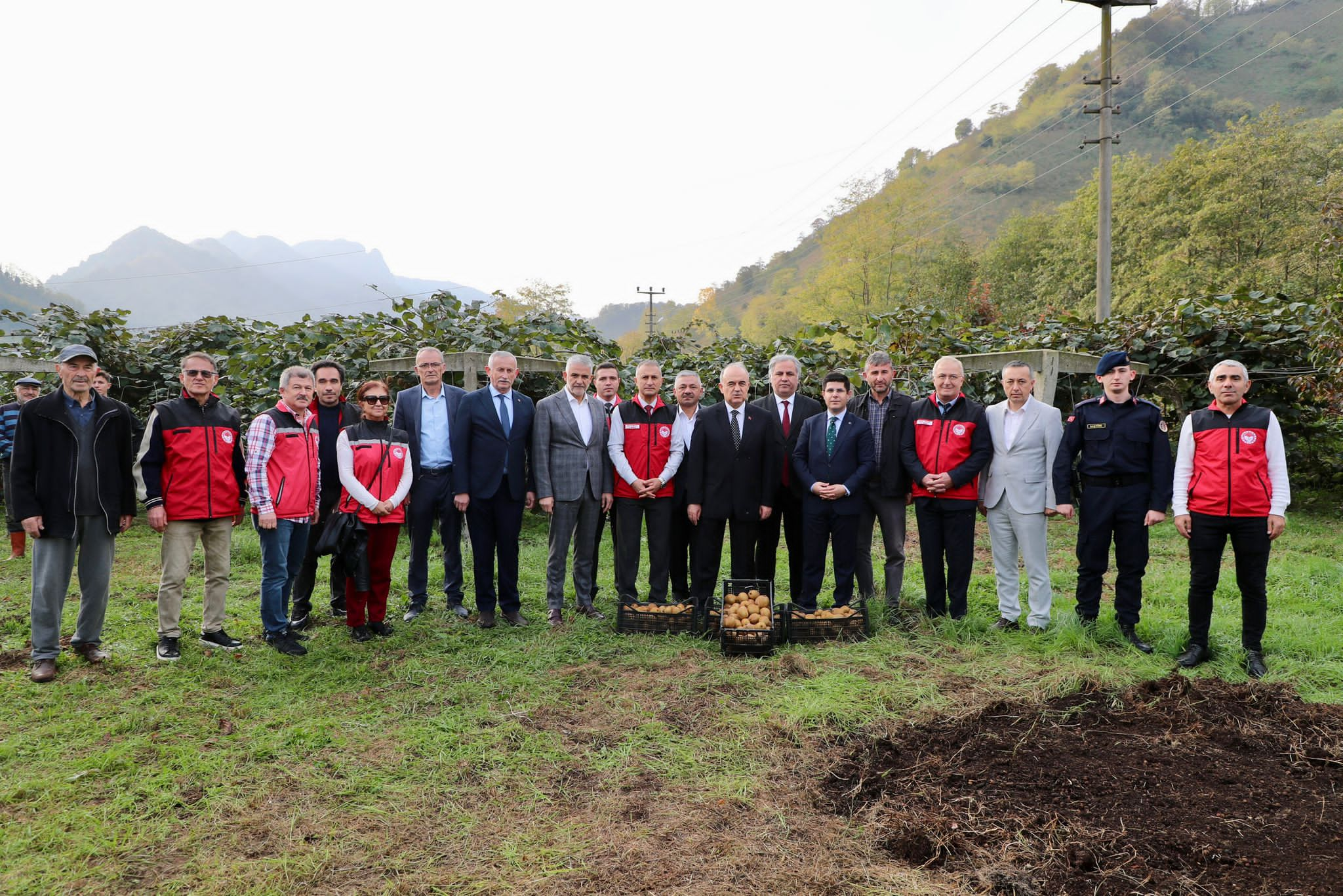 Vali Muammer Erol, Ordu’da Kivi Hasadına Katıldı: 5 Vali Muammer Erol, Ordu’da Kivi Hasadına Katıldı:
