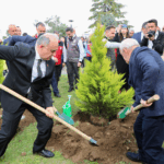 11 Kasım Milli Ağaçlandırma Günü’nde Ordu’da 210 Fidan Toprakla Buluştu