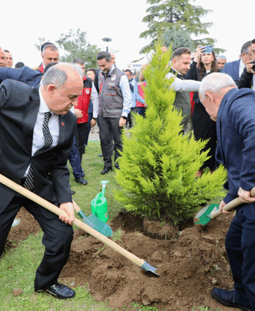 11 Kasım Milli Ağaçlandırma Günü’nde Ordu’da 210 Fidan Toprakla Buluştu