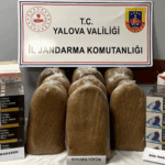 Yalova’da Jandarmadan Kaçak Tütün Operasyonu: 50 Kilo Kıyılmış Tütün ve 10 Bin Makaron Ele Geçirildi
