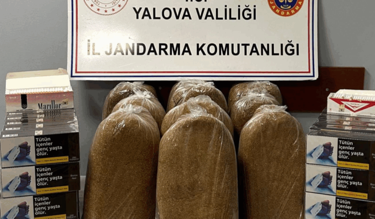 Yalova’da Jandarmadan Kaçak Tütün Operasyonu: 50 Kilo Kıyılmış Tütün ve 10 Bin Makaron Ele Geçirildi
