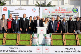 Yalova’da Çiftçiye Büyük Destek: 35 Üreticiye Organik Gübre, 27 Üreticiye 359 Bin Kıvırcık Fidesi Dağıtıldı