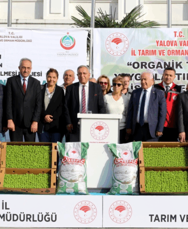 Yalova’da Çiftçiye Büyük Destek: 35 Üreticiye Organik Gübre, 27 Üreticiye 359 Bin Kıvırcık Fidesi Dağıtıldı