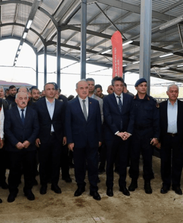 TULIP Projesi Kapsamında Üreticilere Gebe Simental Düve Desteği Sağlandı