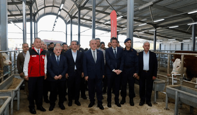 TULIP Projesi Kapsamında Üreticilere Gebe Simental Düve Desteği Sağlandı