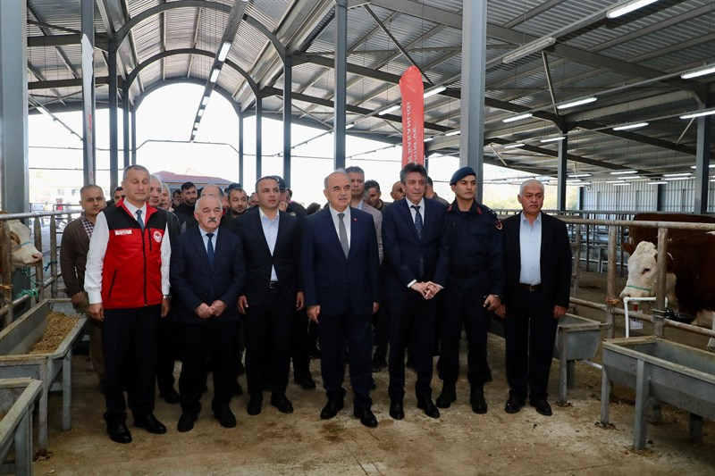 TULIP Projesi Kapsamında Üreticilere Gebe Simental Düve Desteği Sağlandı