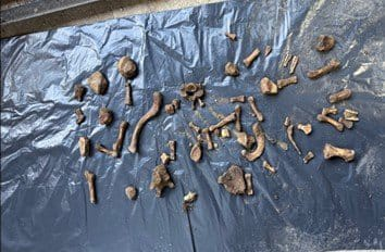 ATV’deki Programda Ortaya Çıkan Kayıp Vakası Çözüldü: Yalova’da Kaybolan E.E.’nin Cesedi Bursa’da Bulundu, Şüpheli Tutuklandı 4 ATV’deki Programda Ortaya Çıkan Kayıp Vakası Çözüldü: Yalova’da Kaybolan E.E.’nin Cesedi Bursa’da Bulundu, Şüpheli Tutuklandı