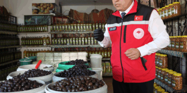 YALOVA’DA GIDA DENETİMLERİNE ARMUTLU ÇIKARMASI İl genelinde işletmeler mercek altında