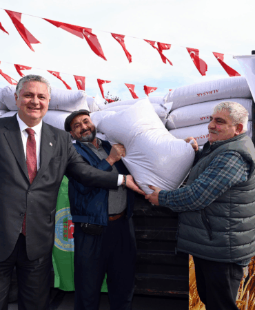 YALOVA BELEDİYESİ’NDEN ÜRETİCİYE 14 TON SERTİFİKALI BUĞDAY TOHUMU DESTEĞİ