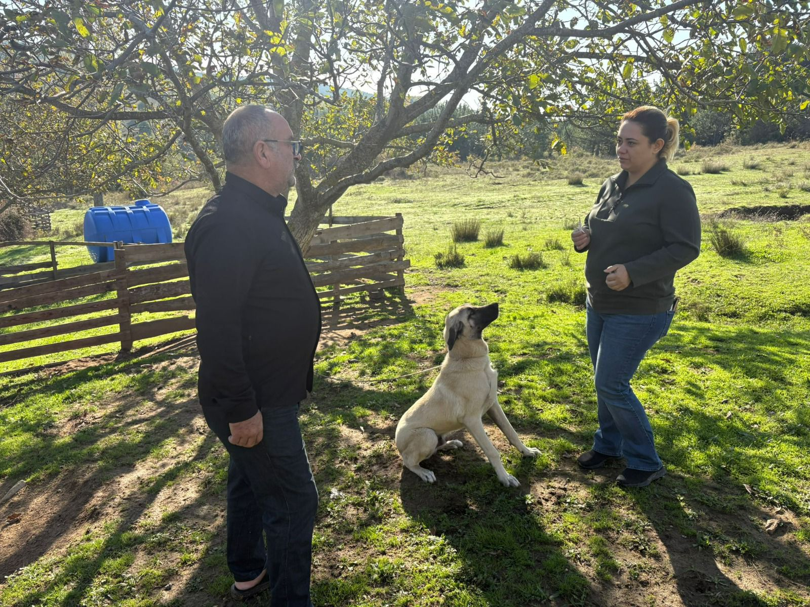Yalova’da 17 Binden Fazla Evcil Hayvan Mikroçiplenerek Kayıt Altına Alındı