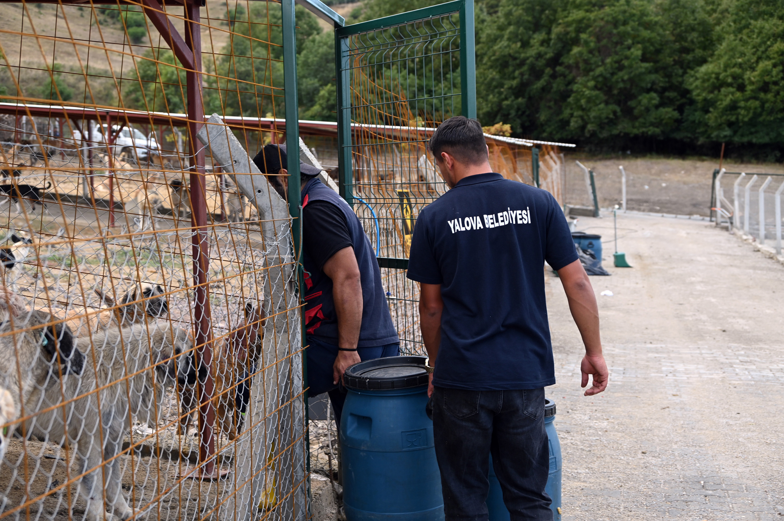 YALOVA BELEDİYESİ’NDEN CAN DOSTLARA KAPSAMLI HİZMET