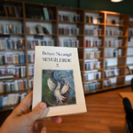 YALOVA BELEDİYESİ KENT KÜTÜPHANESİ  GENÇLERİN YENİ BULUŞMA NOKTASI