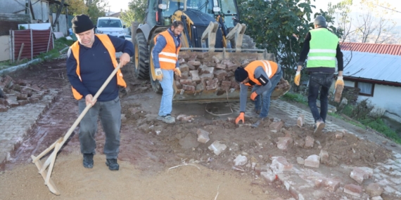 PARKE BAKIM ONARIM ÇALIŞMALARI DEVAM EDİYOR