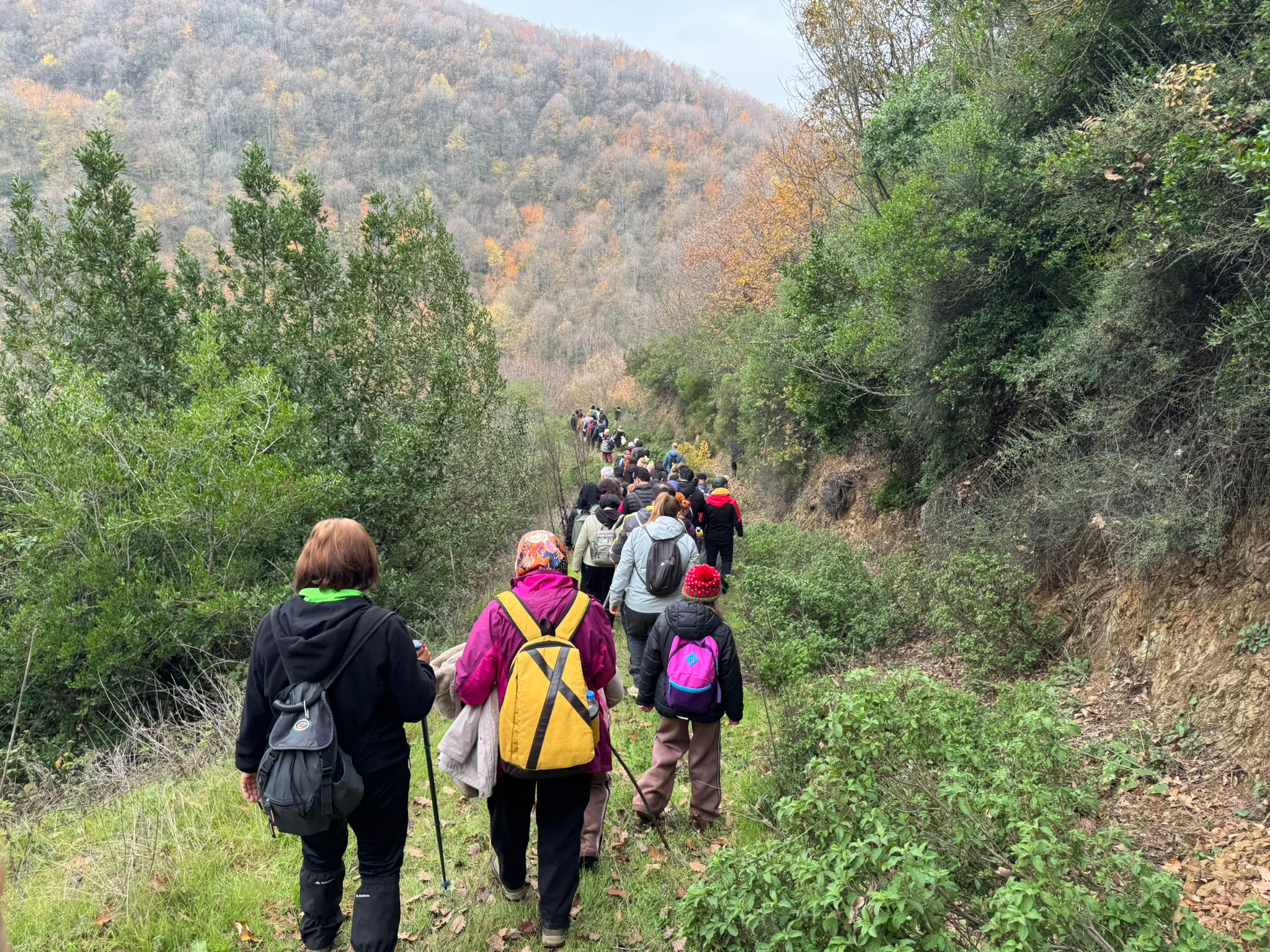 YALOVA BELEDİYESİ’NDEN DOĞASEVERLERE ELMALIK ROTASI  