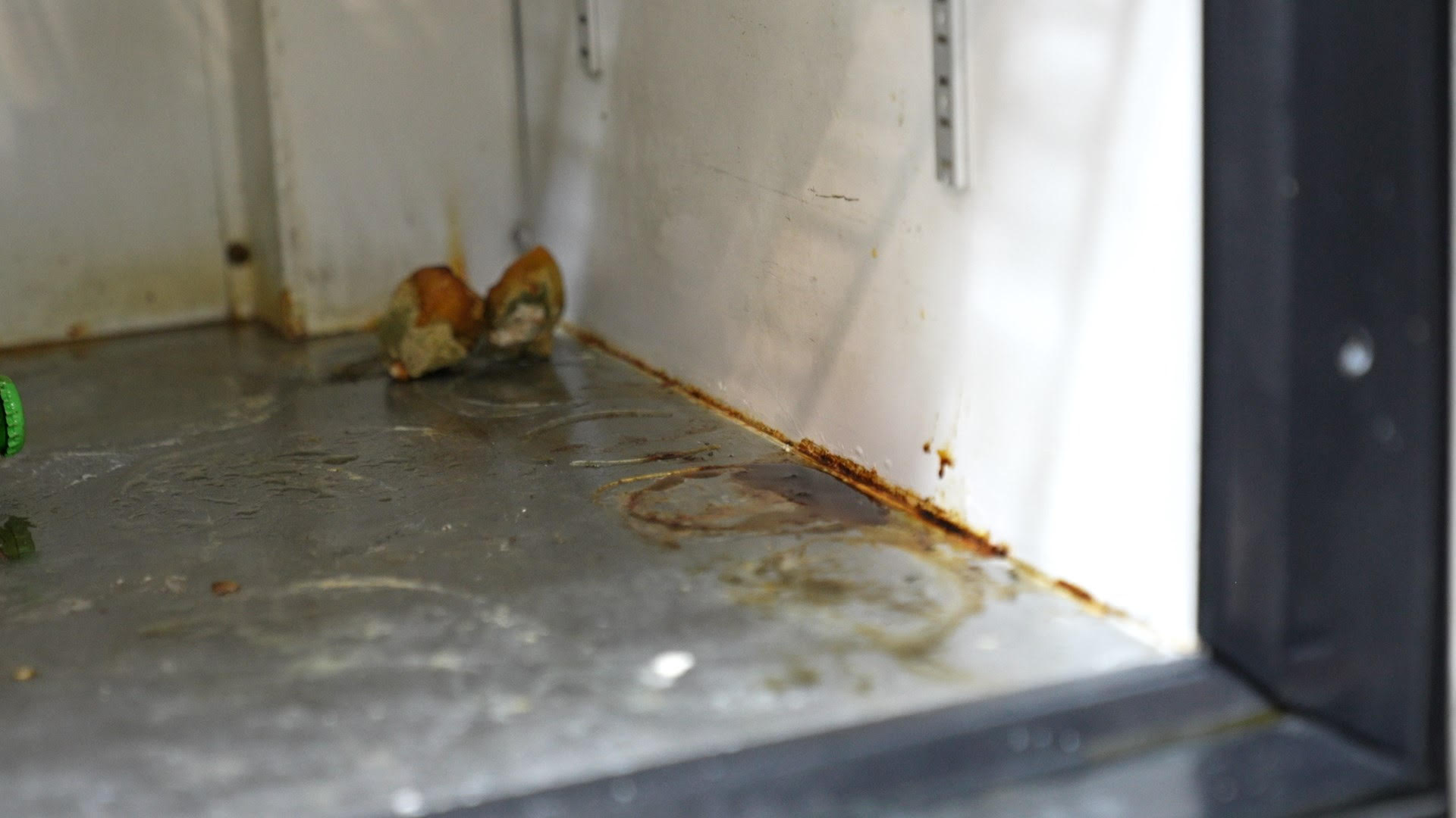 GIDA DENETİMİNDE SKANDAL! UYGUNSUZ VE BOZULMUŞ GIDALAR ELE GEÇİRİLDİ