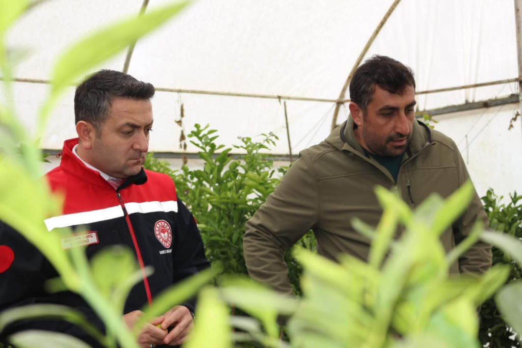 Yalova’da Meyve Fidanı Üretimine İl Müdürü’nden Yerinde İnceleme