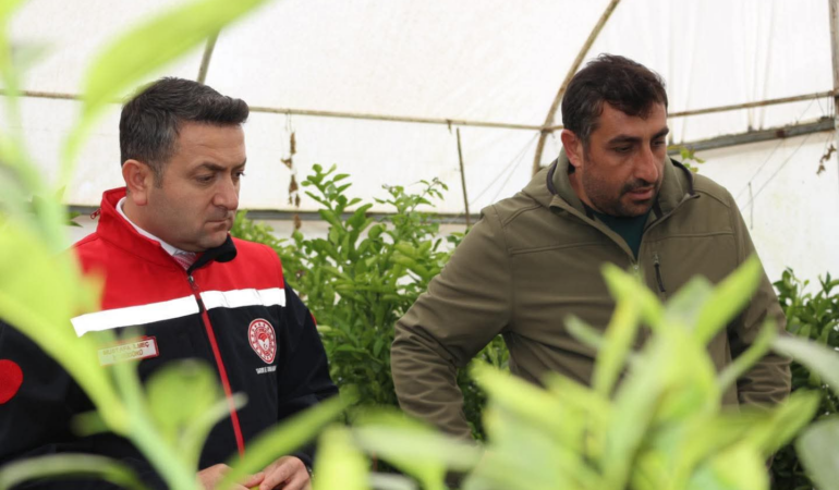 Yalova’da Meyve Fidanı Üretimine İl Müdürü’nden Yerinde İnceleme 6 Yalova’da Meyve Fidanı Üretimine İl Müdürü’nden Yerinde İnceleme