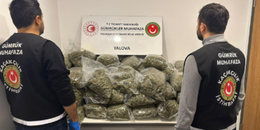 BAKANLIK OPERASYONUYLA YALOVA’DA UYUŞTURUCU DARBE: 39 KİLO ESRAR/SKUNK ELE GEÇİRİLDİ