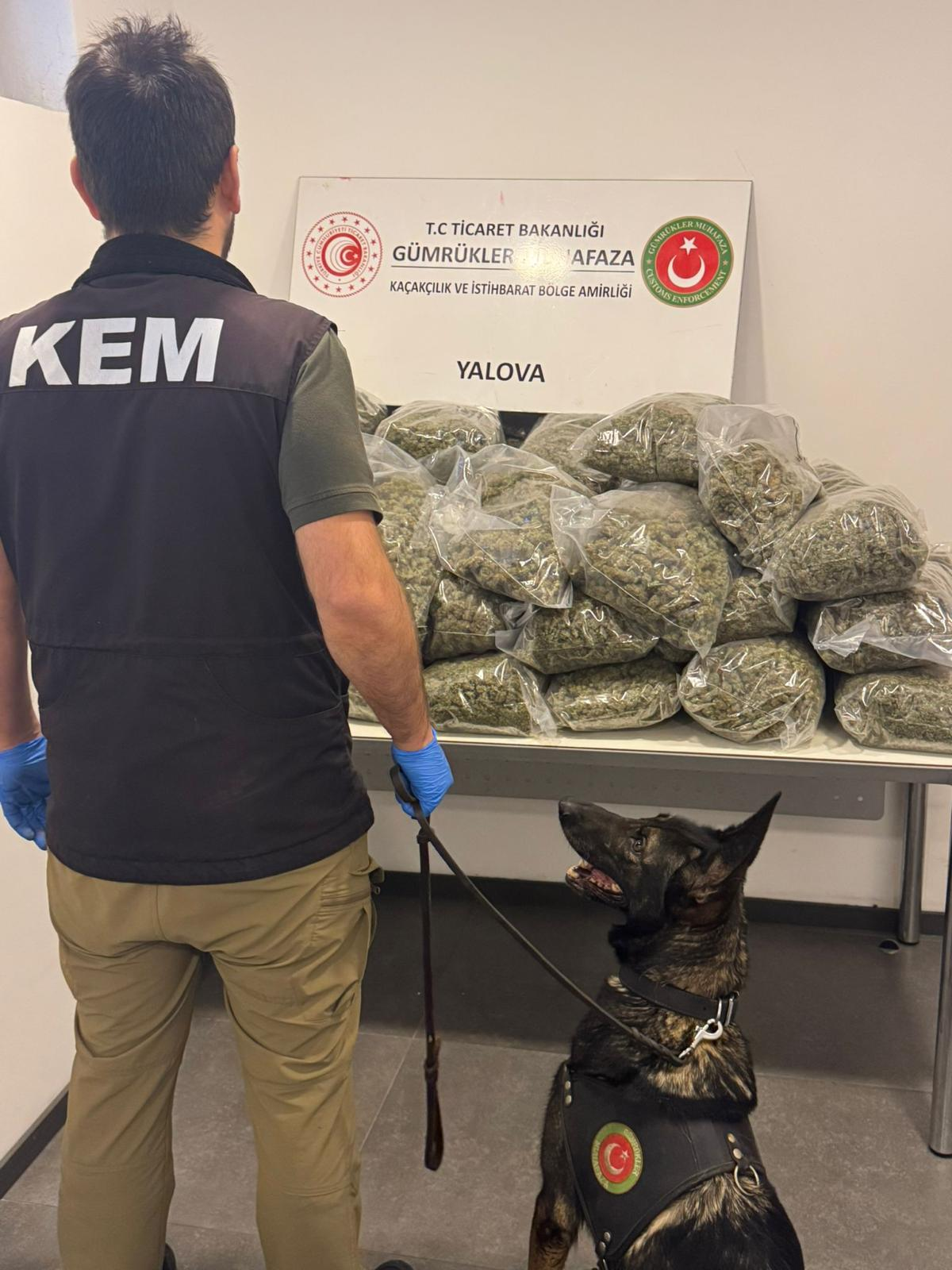 BAKANLIK OPERASYONUYLA YALOVA’DA UYUŞTURUCUYA DARBE: 39 KİLO ESRAR/SKUNK ELE GEÇİRİLDİ 4 BAKANLIK OPERASYONUYLA YALOVA’DA UYUŞTURUCU DARBE: 39 KİLO ESRAR/SKUNK ELE GEÇİRİLDİ