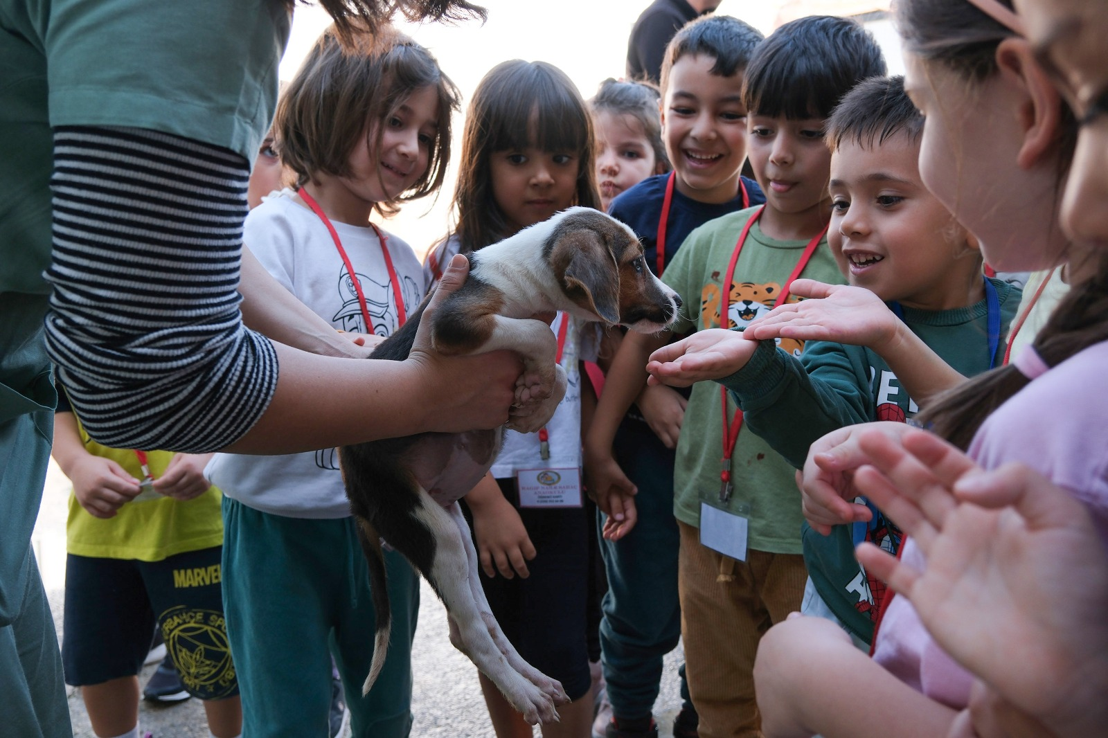 YİĞİTTÜRK’TEN EVCİL HAYVAN SAHİPLERİNE ÇİP VE KARNE UYARISI 1 YİĞİTTÜRK’TEN EVCİL HAYVAN SAHİPLERİNE ÇİP VE KARNE UYARISI