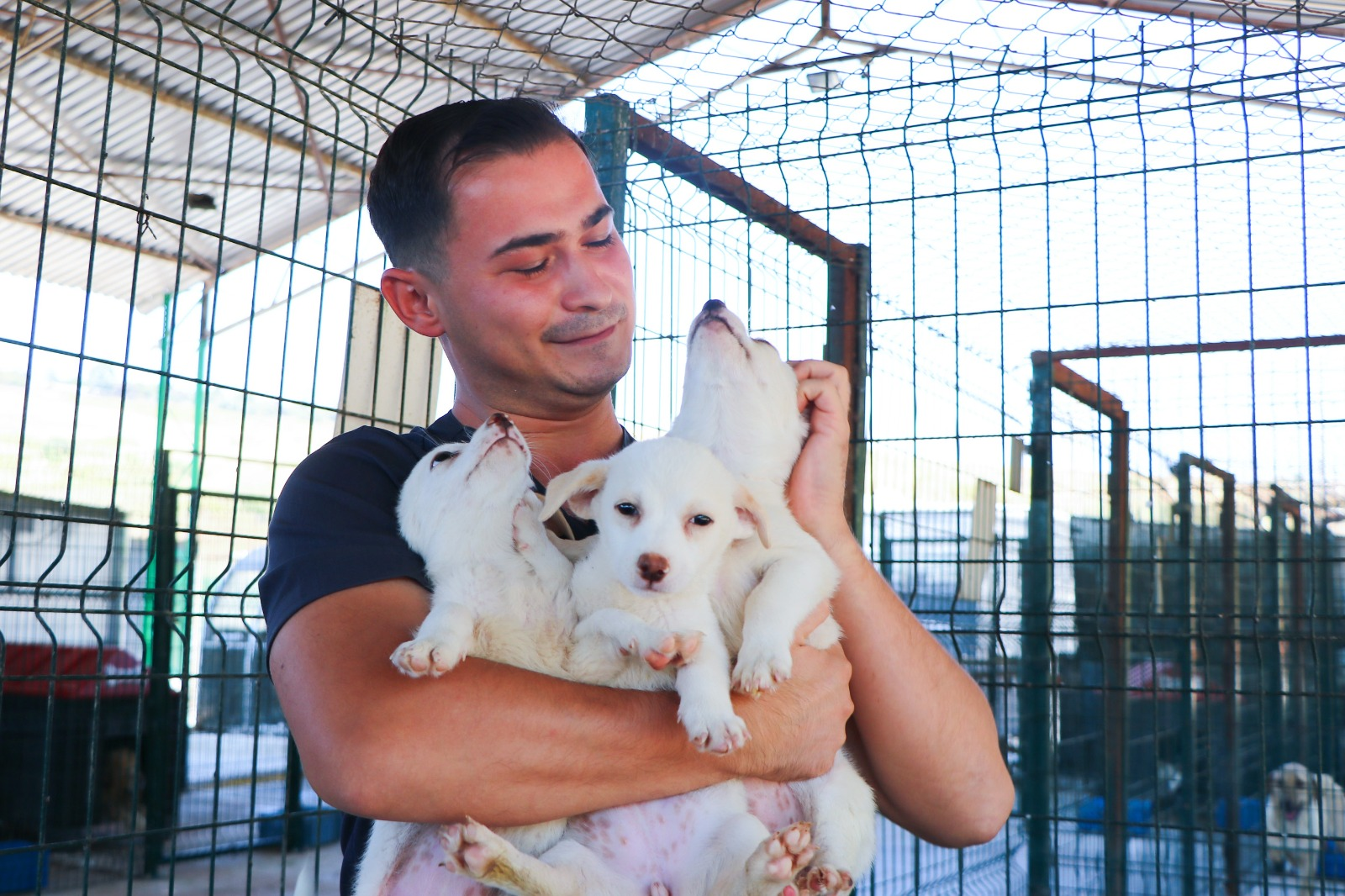 YİĞİTTÜRK’TEN EVCİL HAYVAN SAHİPLERİNE ÇİP VE KARNE UYARISI 5 YİĞİTTÜRK’TEN EVCİL HAYVAN SAHİPLERİNE ÇİP VE KARNE UYARISI