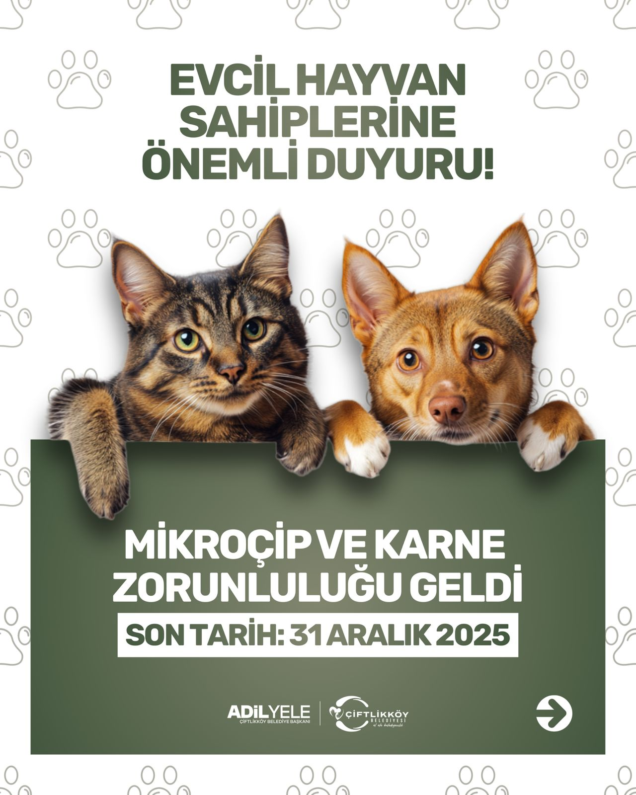 YİĞİTTÜRK’TEN EVCİL HAYVAN SAHİPLERİNE ÇİP VE KARNE UYARISI 6 YİĞİTTÜRK’TEN EVCİL HAYVAN SAHİPLERİNE ÇİP VE KARNE UYARISI