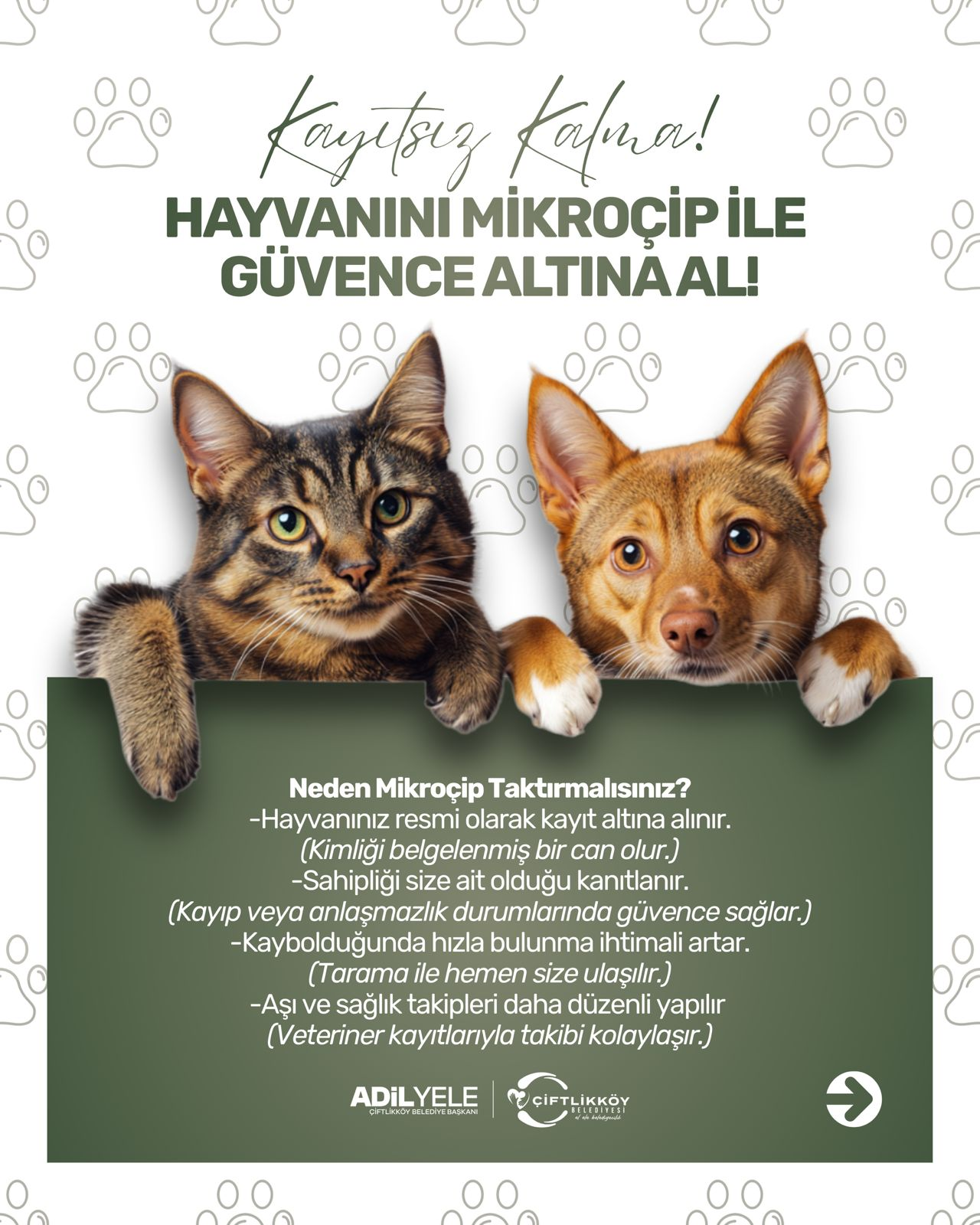 YİĞİTTÜRK’TEN EVCİL HAYVAN SAHİPLERİNE ÇİP VE KARNE UYARISI 7 YİĞİTTÜRK’TEN EVCİL HAYVAN SAHİPLERİNE ÇİP VE KARNE UYARISI