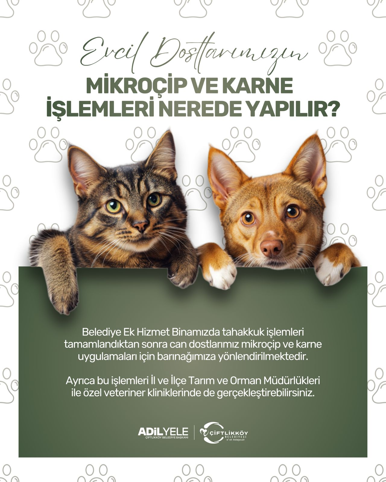 YİĞİTTÜRK’TEN EVCİL HAYVAN SAHİPLERİNE ÇİP VE KARNE UYARISI 8 YİĞİTTÜRK’TEN EVCİL HAYVAN SAHİPLERİNE ÇİP VE KARNE UYARISI