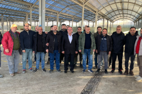 GAİN Medya ve Anahat Holding’e Büyük Operasyon: 7 Şirkete TMSF Kayyımı, 3 Gözaltı 1 thumbnail