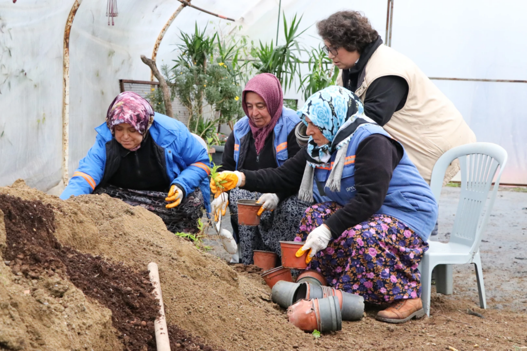 ÇİFTLİKKÖY BELEDİYESİ’NDE PEYZAJ BİTKİLERİ ÜRETİMİ SÜRÜYOR