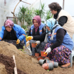 ÇİFTLİKKÖY BELEDİYESİ’NDE PEYZAJ BİTKİLERİ ÜRETİMİ SÜRÜYOR