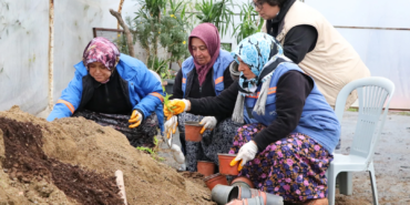 ÇİFTLİKKÖY BELEDİYESİ’NDE PEYZAJ BİTKİLERİ ÜRETİMİ SÜRÜYOR