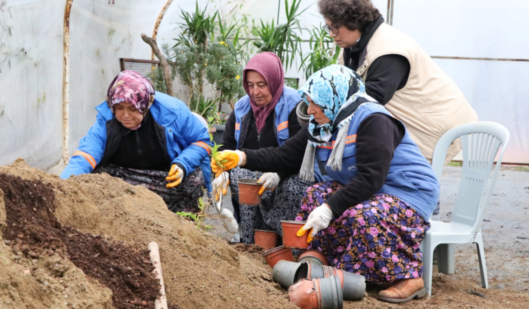 ÇİFTLİKKÖY BELEDİYESİ’NDE PEYZAJ BİTKİLERİ ÜRETİMİ SÜRÜYOR