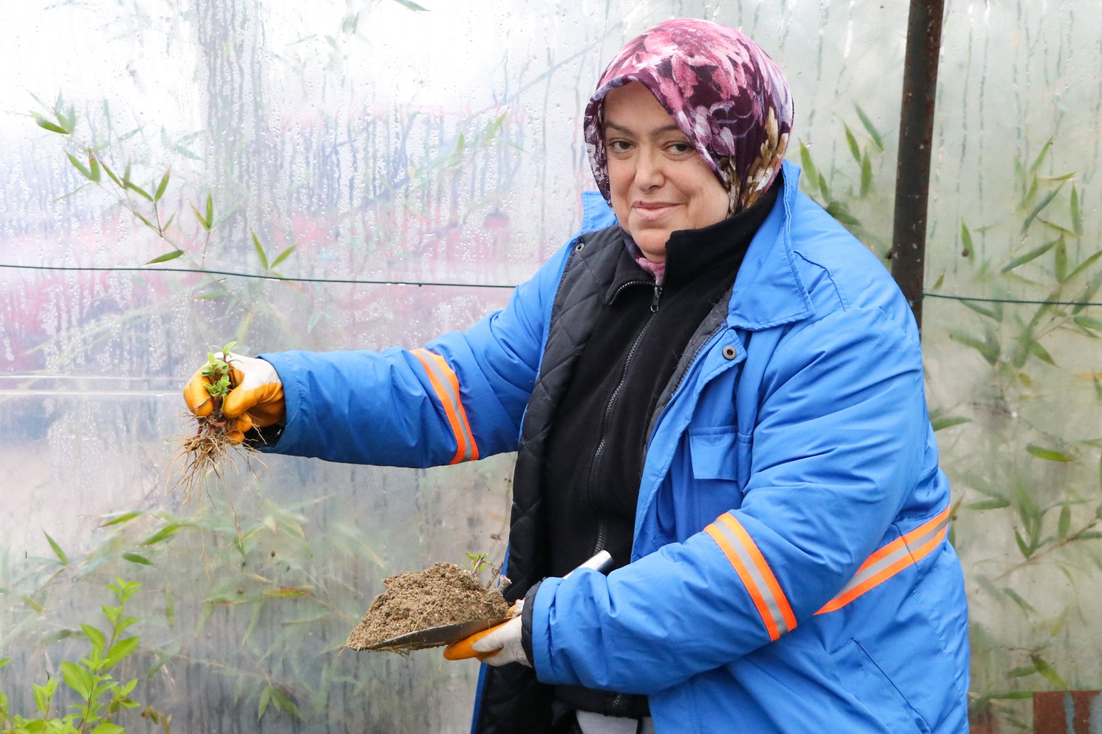ÇİFTLİKKÖY BELEDİYESİ’NDE PEYZAJ BİTKİLERİ ÜRETİMİ SÜRÜYOR