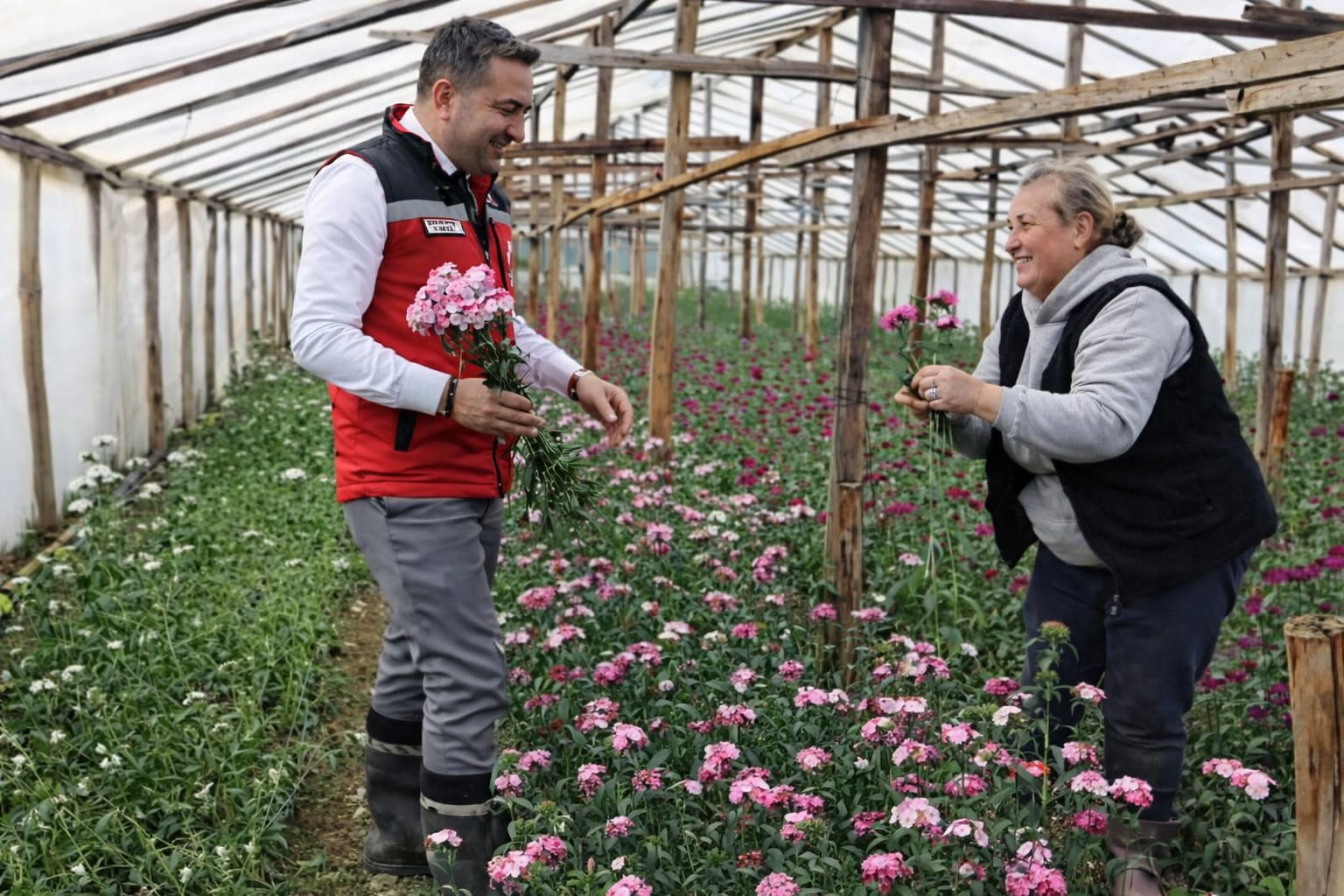 Yalova Şebboy Üretiminde Türkiye Lideri: İl Müdürü Mustafa İlmeç’ten Seralara Yerinde İnceleme