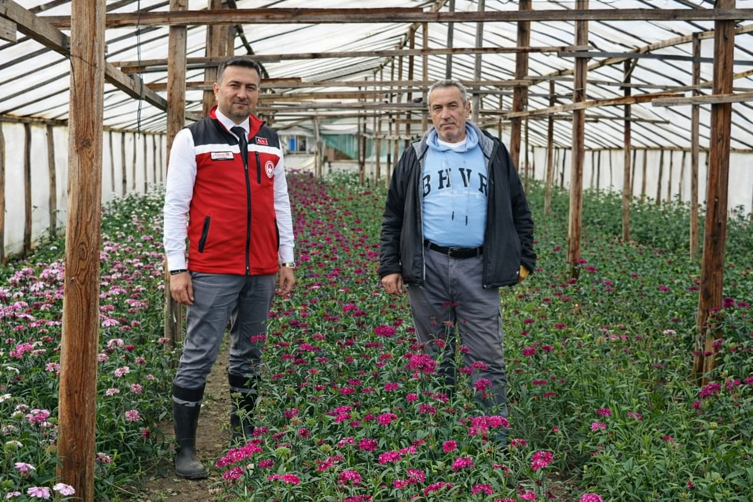 Yalova Şebboy Üretiminde Türkiye Lideri: İl Müdürü Mustafa İlmeç’ten Seralara Yerinde İnceleme