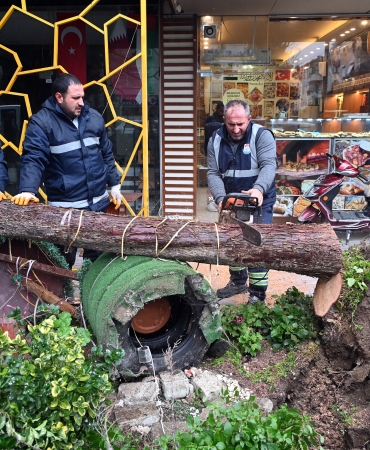 Yalova Belediyesi Fırtınaya Karşı Alarm Durumuna Geçti: 350 Olayda Anında Müdahale