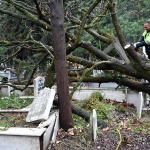 ŞİDDETLİ FIRTINA ŞEHİR MEZARLIĞI’NI DA ETKİLEDİ